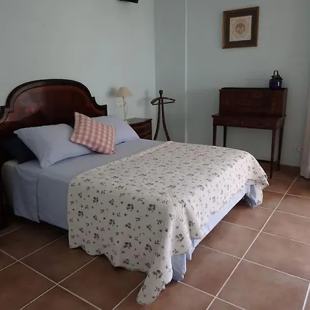 Apartment Seafront View-nice In Downtown *